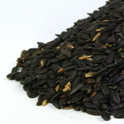 12.5kg SQUAWK Black Oil Sunflower Seeds - Wild Garden Bird Food Oil Rich Feed