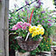 12" Round Rattan Garden Hanging Basket - Natural Wicker Rattan Basket Hanging Plants Planter Pot