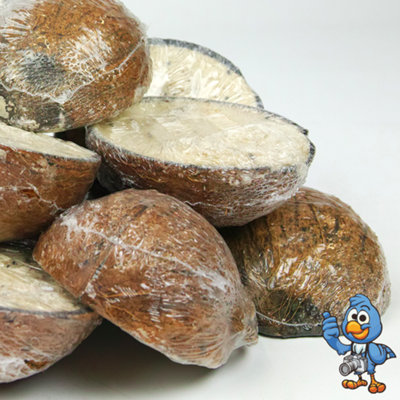 120 x BusyBeaks Suet Filled Coconut Halves - Wild Bird Food Garden Fat Feeder