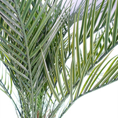 120cm Cycas Palm Tree UV Resistant Outdoor