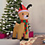 120CM Inflatable Elk Christmas Yard Decoration with LED