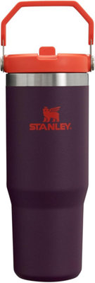 Stanley Classic Iceflow Flip Straw Tumbler Plum 0.89L B&Q