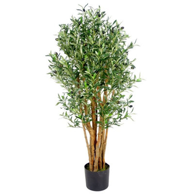 Buy Green Small Artificial Olive Tree In Concrete Pot from the Next UK  online shop