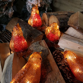 12cm Set of 5 Premier Christmas Outdoor Acrylic Robins with 30 Warm White LEDs