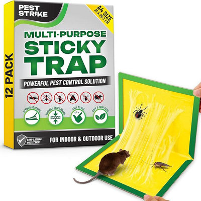 12pck Insect Sticky Traps - Non Toxic Pest Control for Kitchen, Garden ...