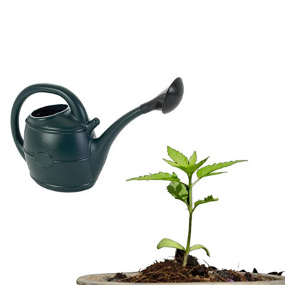 13 Litre Green Gardening Handy Sized Watering Can With Rose Head For Flowers & Plants