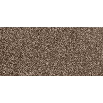 1359 Solitaire Brown Action Backing Carpet