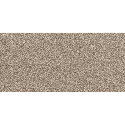 1363 Parkmill Plain Brown Felt Backing Carpet, Saxony Cut Pile Carpet, Heavy Duty Carpet for Home-1m(3'3") X 4m(13'1")-4m²