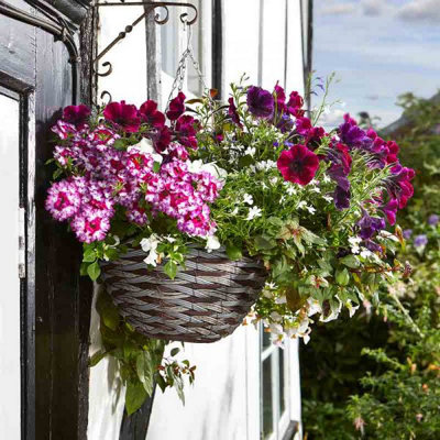 14'' Pinto Faux Rattan Hanging Basket