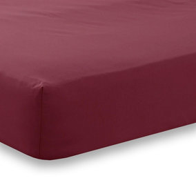 144 Thread Count Poetry Plain Dye Fitted sheet Single Bedding Burgundy