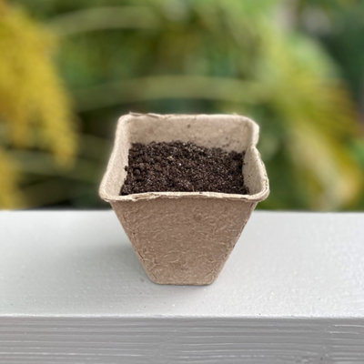 144 x 5cm Eco Square Fibre Biodegradable and Compostable Plant Pots