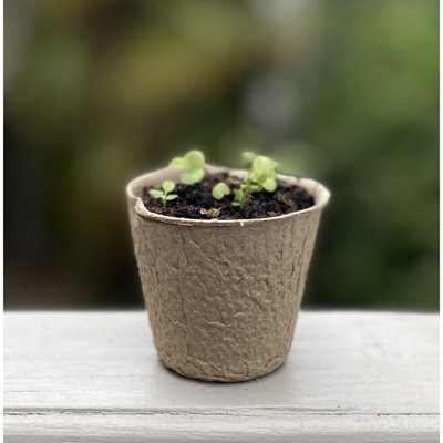 144 x 5cm Round Fibre Biodegradable Plant Pots & Handheld Seed Dispenser