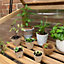 144 x 8cm Eco Square Fibre Biodegradable and Compostable Plant Pots
