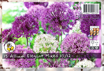 15 Allium Bulbs Elegant Mixed Spring Flowering Bulbs 10/12 Purple White