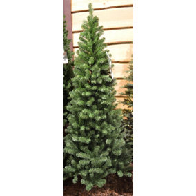 150cm (5ft) Newfoundland Slim Pine Christmas Tree - 86cm Diameter