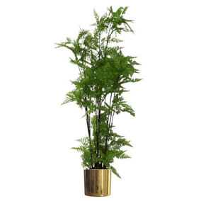 150cm Artificial Natural Extra Large Fern Foliage Plant with Gold Metal Planter