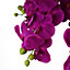 150cm Giant Purple Orchid Plant - Artificial - 189 flowers REAL TOUCH