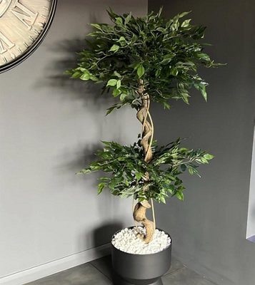 150cm Twisted Trunk Artificial Japanese Fruticosa Style Ficus Tree