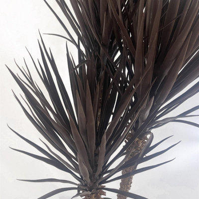 155cm UV Resistant Artificial XL Triple Yukka Tree Plant Spiky Tree ...