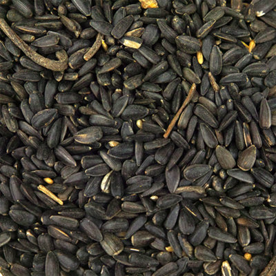 15kg SQUAWK Black Oil Sunflower Seeds - Wild Garden Bird Food Oil Rich Feed