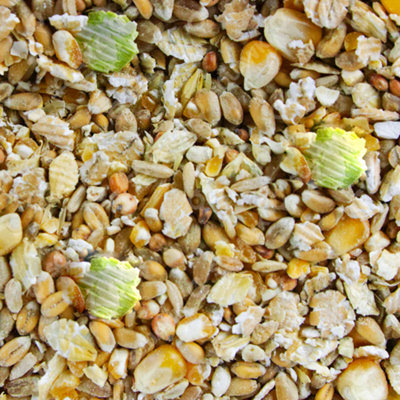 15kg SQUAWK Duck & Goose Mix - Premium Grade Wild Bird Food Tasty Nutritious Snacks - 4