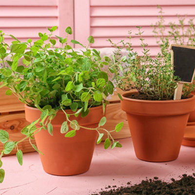 16-Pack Small Terracotta Plant Pots 5cm - Mini Clay Pots for Plants - 4