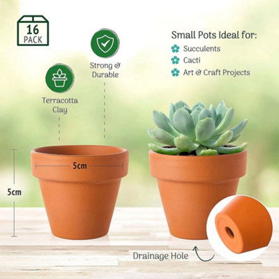 16-Pack Small Terracotta Plant Pots 5cm - Mini Clay Pots for Plants - 5