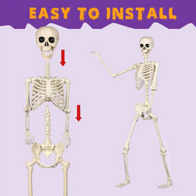 165cm Halloween Decor Poseable Skeleton Full Life Size Human Skeleton ...