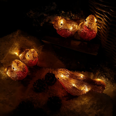 16cm Set of 5 Premier Christmas Outdoor Acrylic Robins with 30 Warm White LEDs Price Comparisons | Compare The Build