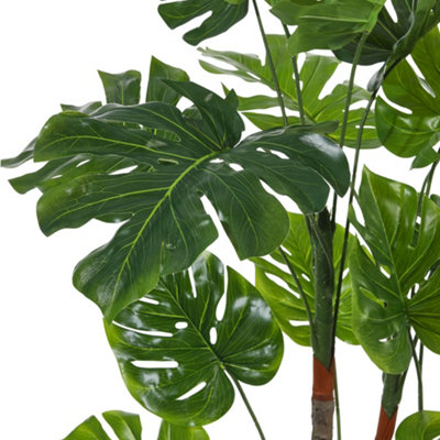 snow white pothos Snow Queen Pothos Money Plant – Potclay main image 0