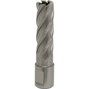 17mm x 50mm Depth Rotabor Cutter - M2 Steel Annular Metal Core Drill 19mm Shank