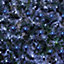 180 LED 1.7m x 1.2m Premier Multi Action Christmas Net Window Lights in Blue & White