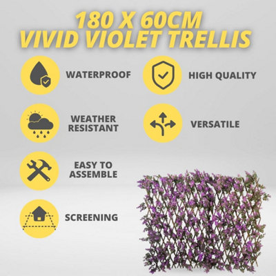 180 x 60cm Vivid Violet Trellis  Decorative Garden Screening - 3