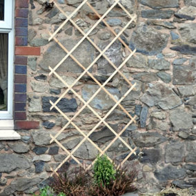 180cm x 45cm Home and Garden Expanding Wooden Garden Trellis - Robust Climbing Plant & Vegetable Support