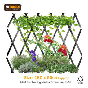 180x60cm Expanding Grey Wooden Trellis Climbing Plants Fence Panel Screening Lattice