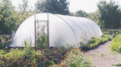 18ft x 24ft Large Commercial Heavy Duty Polytunnel Kit - Professional Greenhouse
