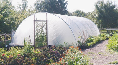 Direct Plants 10ft x 18ft Straight Sided Polytunnel Kit, Heavy