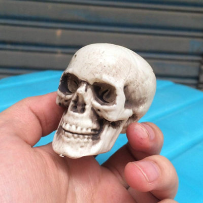 18PCS HALLOWEEN PLASTIC SKULL HEAD SMALL REALISTIC SKELETON SKULL
