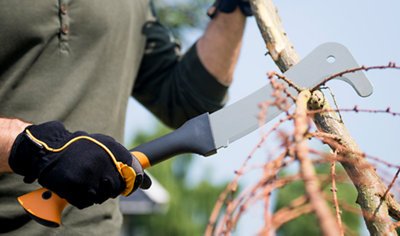 Cutting the branch from a small tree using a brush hook.