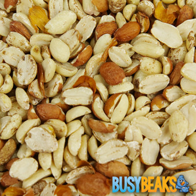 1kg BusyBeaks Split Peanuts - Fresh Quality Wild Birds Protein Garden Birds Food Mix