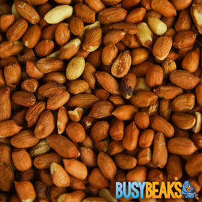 1kg BusyBeaks Whole Peanuts - Fresh Premium Wild Garden Bird Energy Seed Food Feed