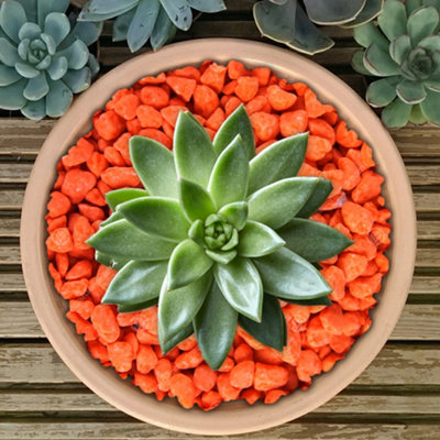 1kg Fluroescent Orange Coloured Plant Pot Garden Gravel - Premium Garden Stones for Decoration