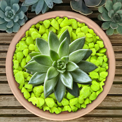 1kg Fluroescent Yellow Coloured Plant Pot Garden Gravel - Premium Garden Stones for Decoration