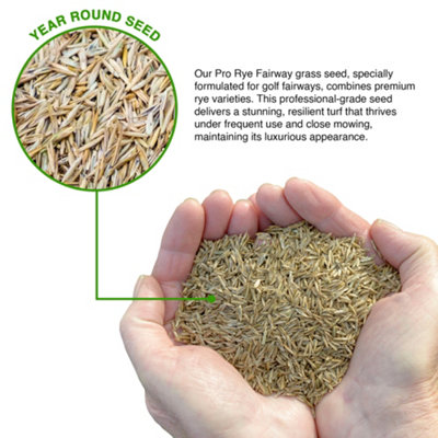 1KG GROUNDMASTER Pro Golf Fairway Greens Grass Mix Hard Wearing Lawn Grass Seed