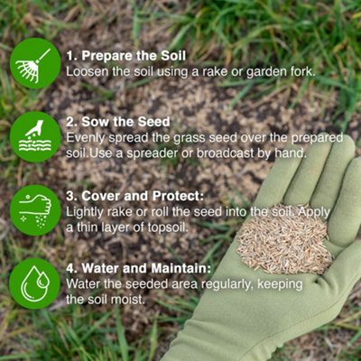 1KG GROUNDMASTER Pro Golf Green Grass Mix Hard Wearing Dense Fairway Lawn Grass Seed