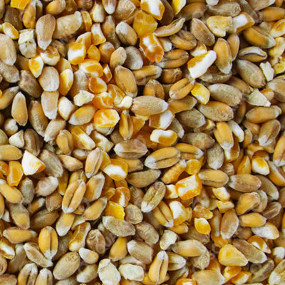 1kg SQUAWK Mixed Poultry Corn - Nutritious Protein Rich Food For ...