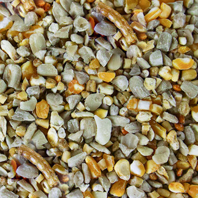1kg SQUAWK Robin & Songbird Food - Protein Rich Wild Bird Seed Mix For Garden Birds - 5