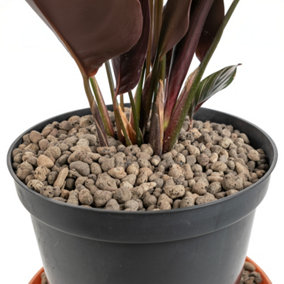 1l growing media-clay pebbles,medium size 4-8mm, pot plant topper,hydroponics,washable & reusable