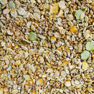 1L SQUAWK Duck & Goose Mix - Premium Grade Wild Bird Food Tasty ...