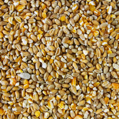 1L SQUAWK Mixed Poultry Corn - Nutritious Protein Rich Food For Chicken ...
